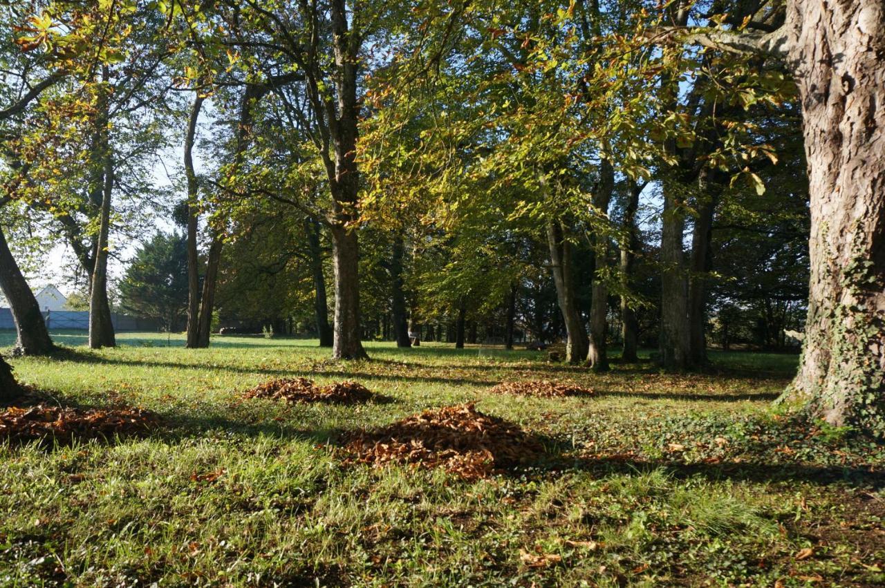 Domaine Du Moulin A Vent - Gite & Spa Saint-Florent-sur-Cher Eksteriør bilde